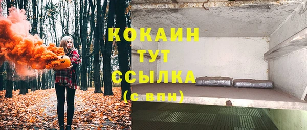 спайс Новодвинск