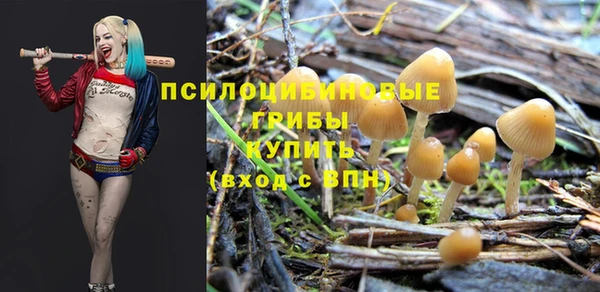 дживик Новокубанск
