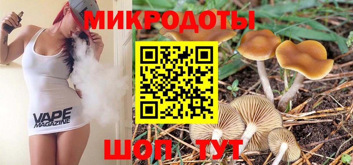 Галлюциногенные грибы Magic Shrooms  купить наркотик  Калач-на-Дону  Галлюциногенные грибы ЛСД  Вход с VPN 